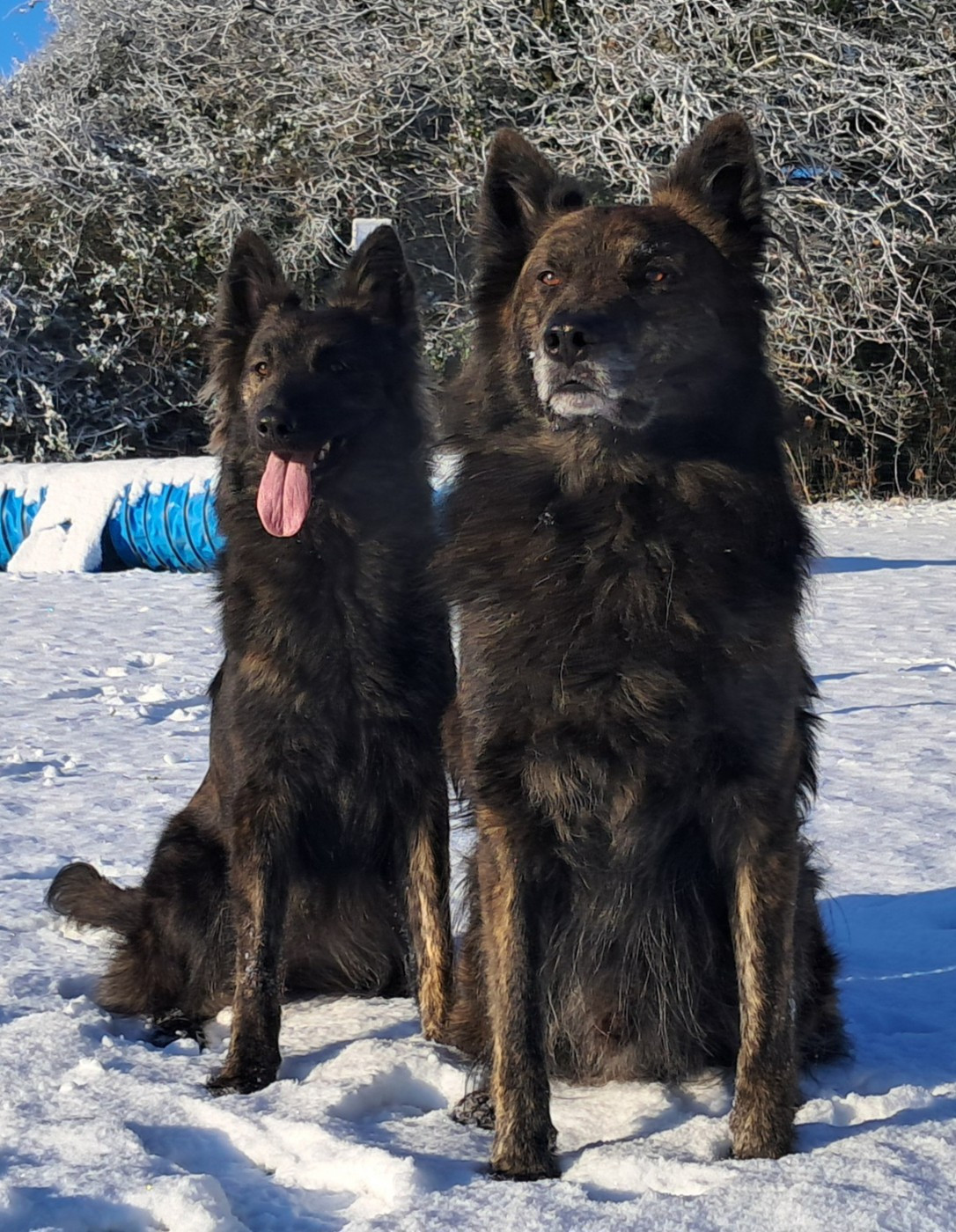 MARIAGE A VENIR FIN 2026/DEBUT 2027